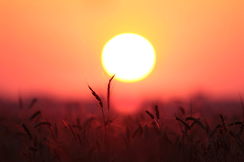 Ներսէս Շնորհալիի 850-ամեակի առթիւ